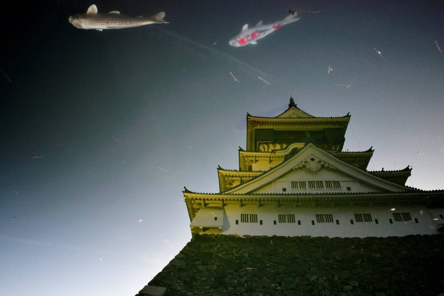 現場での研修・サポート風景